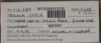 Image Associated With the Occurence